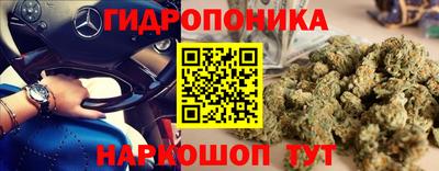 jwh Кандалакша