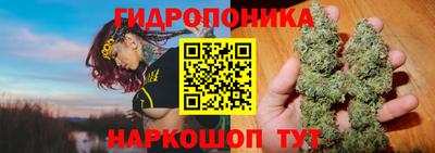 jwh Кандалакша