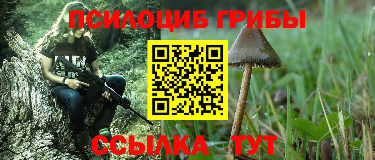 Псилоцибиновые грибы Psilocybine cubensis Ефремов