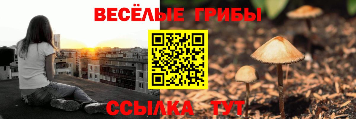 Ефремов  Псилоцибиновые грибы Cubensis  Вход с VPN  Псилоцибиновые грибы ЛСД 